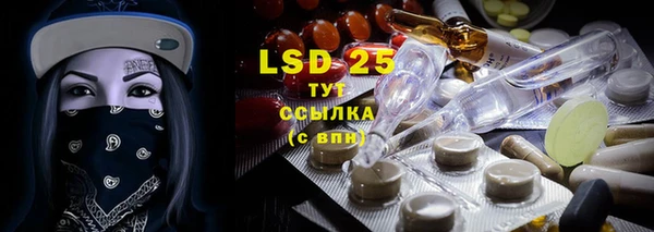соль ск Липки
