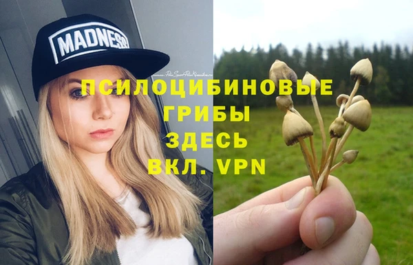 герыч Зерноград