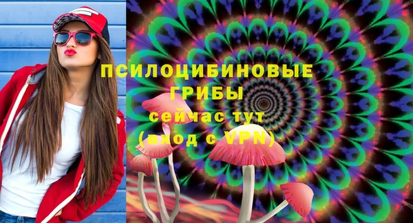 герыч Зерноград