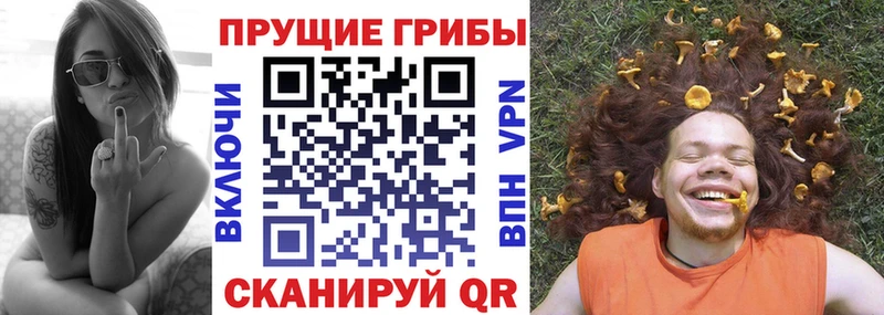 закладки  Иннополис  shop официальный сайт  Галлюциногенные грибы Magic Shrooms 